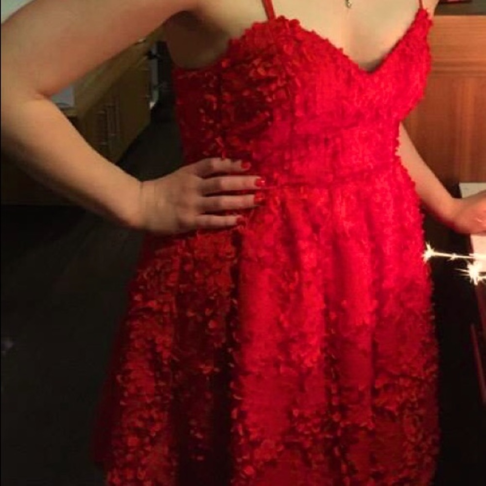 H&M Red Textured Dress
